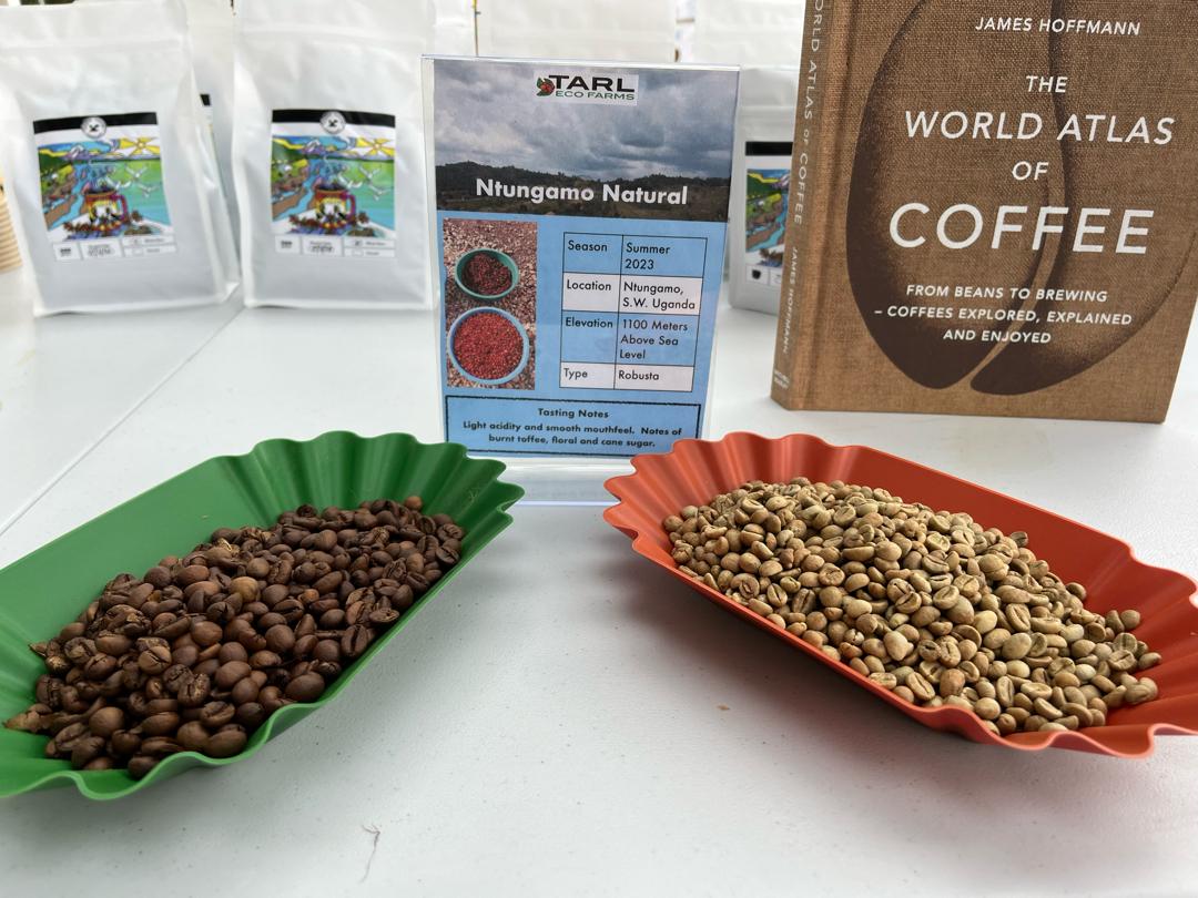 Tarl Eco Farms Ntungamo Natural coffee cupping display